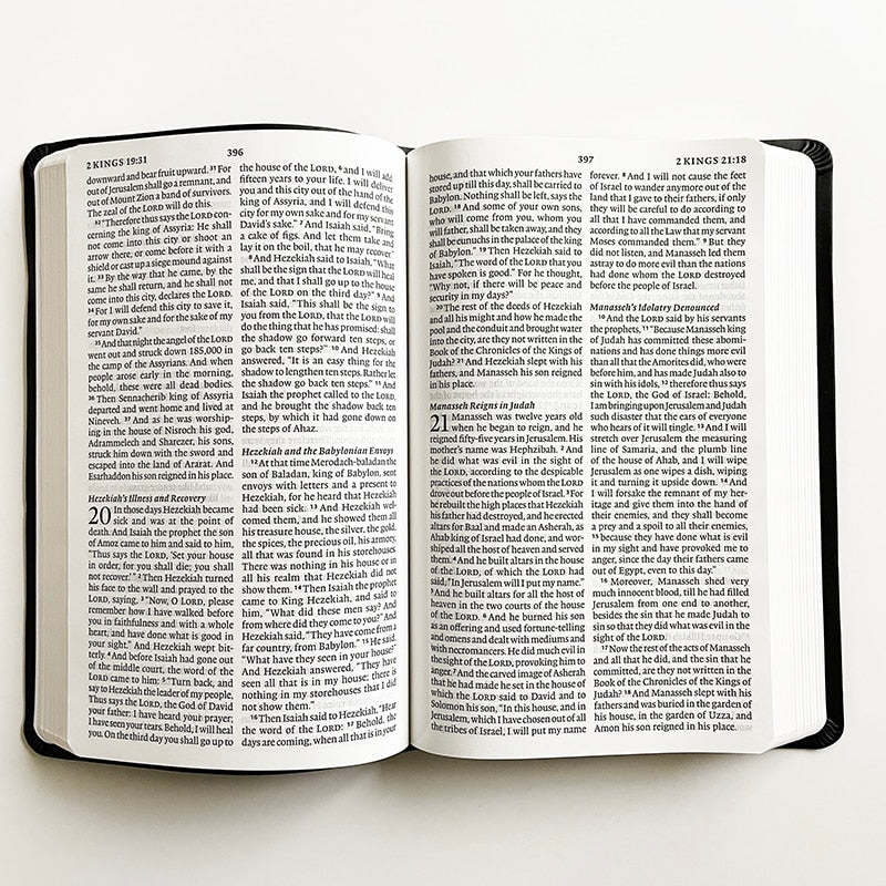 The Holy Bible English Standard Version (ESV) The Large Print  Edition  Old and New Testament 25K