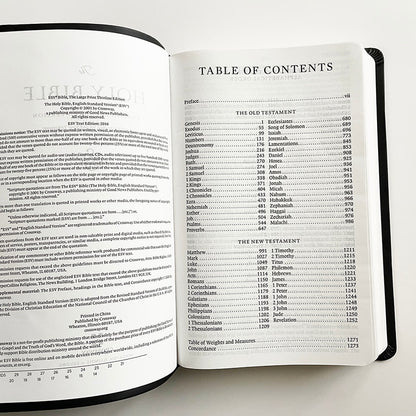 The Holy Bible English Standard Version (ESV) The Large Print  Edition  Old and New Testament 25K