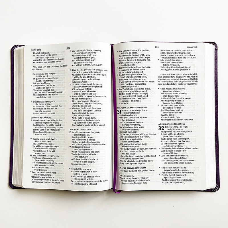 The Holy Bible New King James Version (NKJV) Large Print English Edition Old and New Testaments 16.5x24.3x2.3cm/6.5x9.6x0.9in