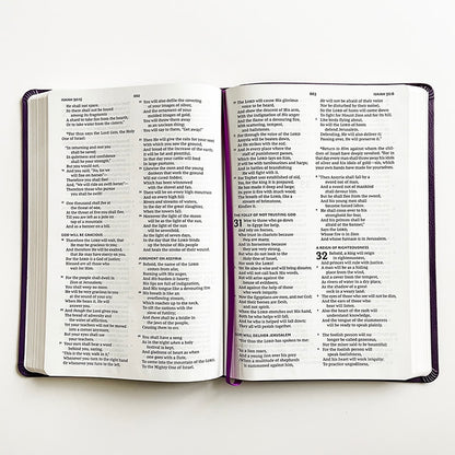 The Holy Bible New King James Version (NKJV) Large Print English Edition Old and New Testaments 16.5x24.3x2.3cm/6.5x9.6x0.9in