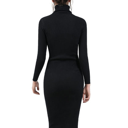 Women's Knitted Turtleneck Sweater Dress Slim Elastic Long Sleeve Sexy Lady Bodycon Dresses