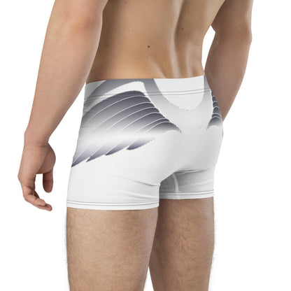 Boxer Briefs