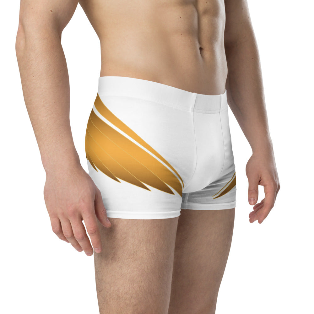 Boxer Briefs