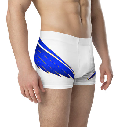 Boxer Briefs