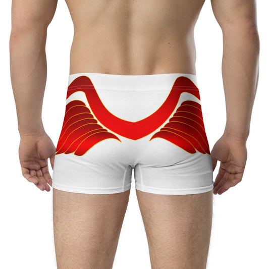 Boxer Briefs