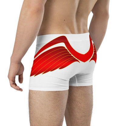 Boxer Briefs