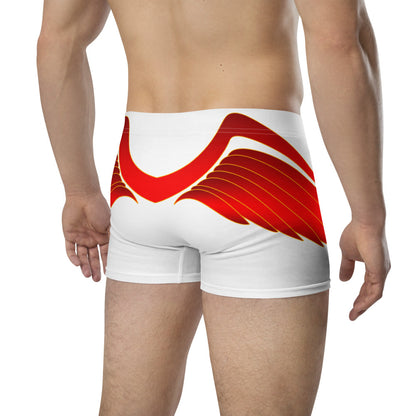 Boxer Briefs