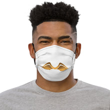 將圖片載入圖庫檢視器 Premium face mask
