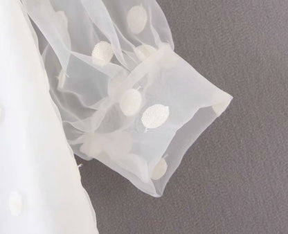 Women's Elegant Stand Collar Polka Dot Blouse Embroidery casual organza blouse shirt women chic perspective white chemise tops LS4077
