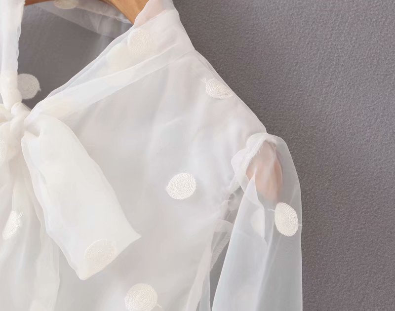 Women's Elegant Stand Collar Polka Dot Blouse Embroidery casual organza blouse shirt women chic perspective white chemise tops LS4077