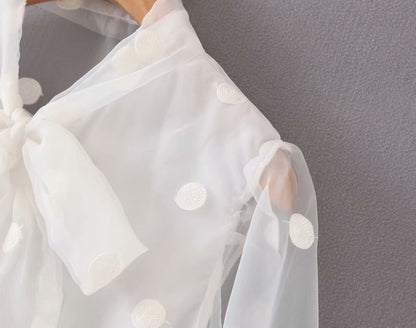 Women's Elegant Stand Collar Polka Dot Blouse Embroidery casual organza blouse shirt women chic perspective white chemise tops LS4077