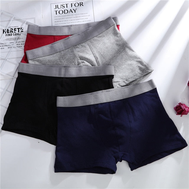 Men's Underwear Cotton