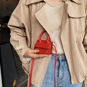 Luxury Handle Mini J Bags